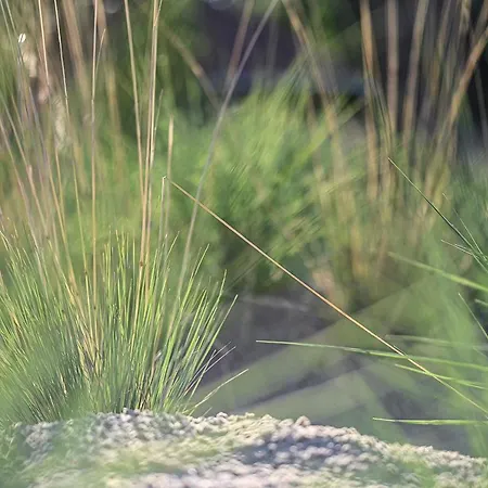 Op'n Diek 아파트 *