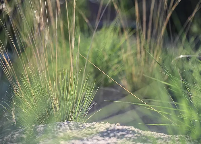 Op’n Diek Lejlighed *